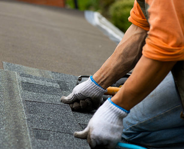 Best Roof Repair Services  in Neenah, WI