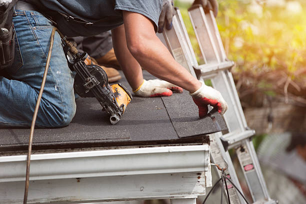 Best Roof Gutter Cleaning  in Neenah, WI